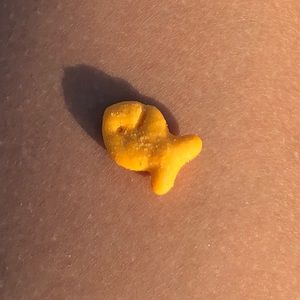 Meet your Posher, Kaitlynn